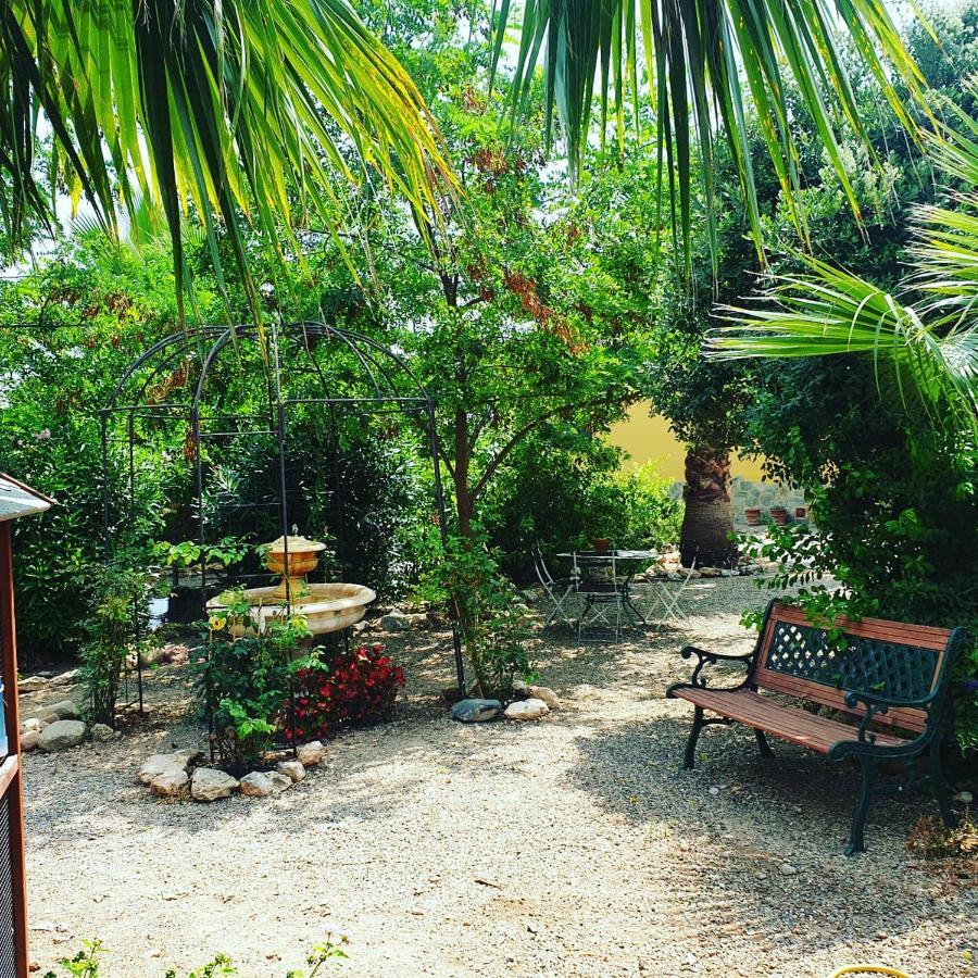 Masia Castellvi Bed & Breakfast Vinyols i Els Arcs