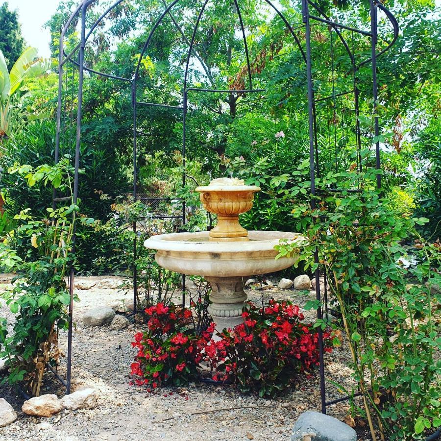 Bed & Breakfast Masia Castellvi